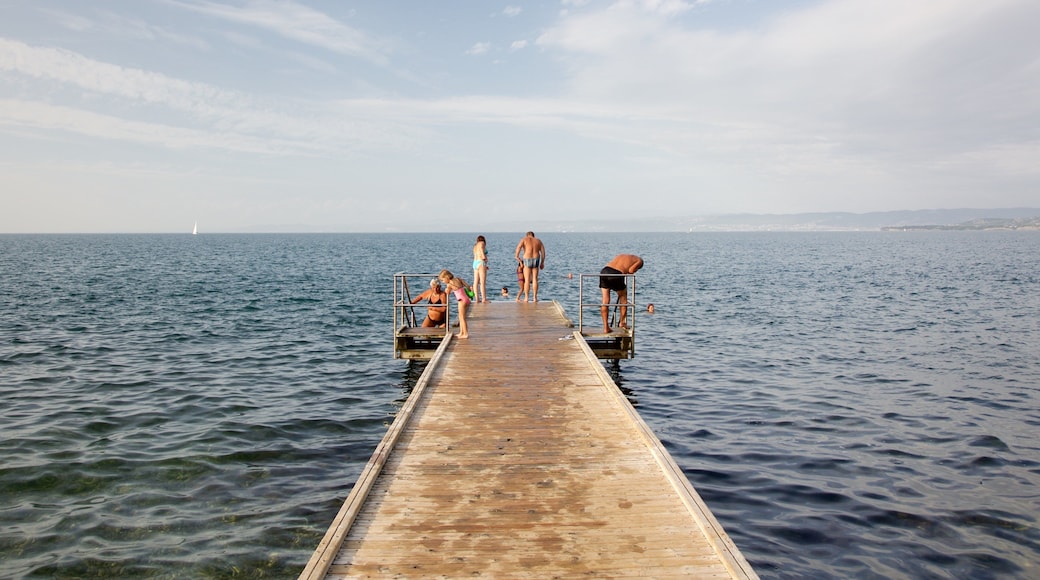 Lighthouse Park featuring general coastal views as well as a small group of people