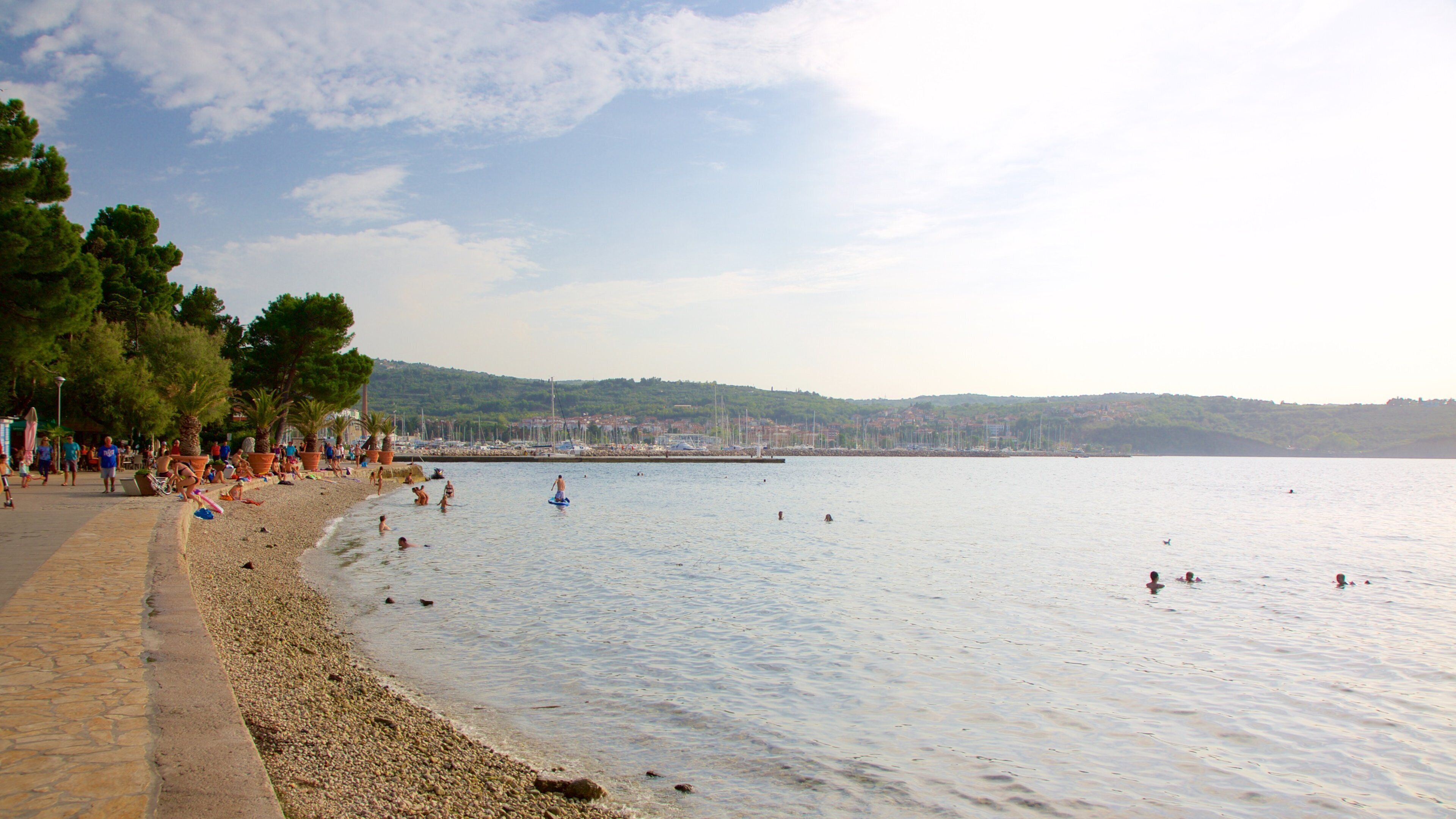 Lighthouse Park which includes a coastal town, swimming and a pebble beach