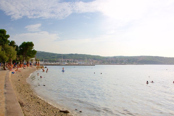 Lighthouse Park which includes a coastal town, swimming and a pebble beach