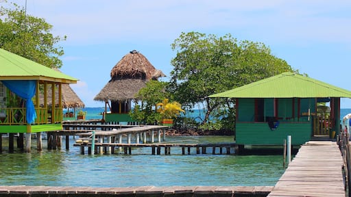 Punta Laurel