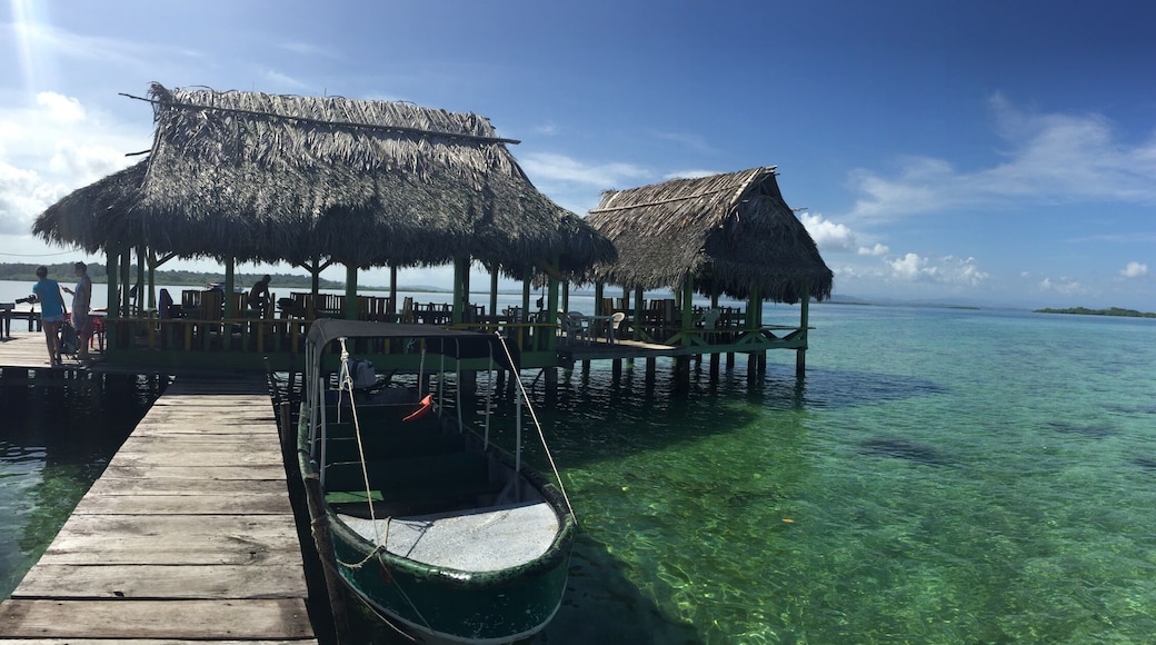 I think it's paradise. No, but really!