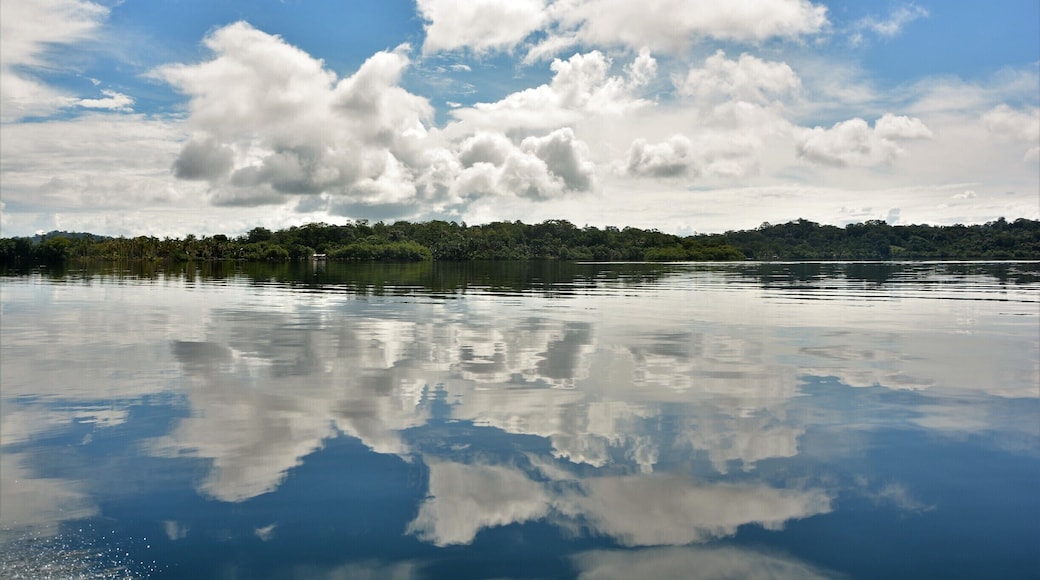 Tucked away on one of the more quiet islands of the Bocas del Toro province in Panama, there is an ecolodge called 'Cocovivo'. Through a long chain of friends of friends, I discovered this little paradise where peacefulness is key. Originally set up as a co-working space, the owners of Cocovivo made this place a home away from home. Set up with the help of an indigenous Ngobe-Guble family, everything is ecological: yes, that means a compost toilet. If that does not convince you yet, then maybe the possibility to kayak surrounded by dolphins will. Or you can practice yoga on your stand-up paddleboard. Or jump from the diving board right in the Caribbean sea and explore the reef. Or go on a jungle walk and count all the sloths you can see. Or eat delicious food made with very very local ingredients. Or see the stars in the sky reflected in the water bioluminescent plankton. Who needs Bocas' party scene when you have the 'disco' lights above and underneath you right? A place where I could relax fully and that I wholeheartedly recommend! #troveon #thisbatteredsuitcase #cocovivo #caribbeanvibes