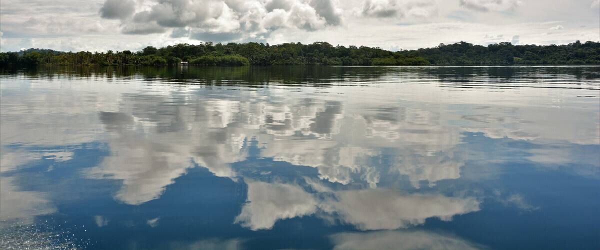 Tucked away on one of the more quiet islands of the Bocas del Toro province in Panama, there is an ecolodge called 'Cocovivo'. Through a long chain of friends of friends, I discovered this little paradise where peacefulness is key. Originally set up as a co-working space, the owners of Cocovivo made this place a home away from home. Set up with the help of an indigenous Ngobe-Guble family, everything is ecological: yes, that means a compost toilet. If that does not convince you yet, then maybe the possibility to kayak surrounded by dolphins will. Or you can practice yoga on your stand-up paddleboard. Or jump from the diving board right in the Caribbean sea and explore the reef. Or go on a jungle walk and count all the sloths you can see. Or eat delicious food made with very very local ingredients. Or see the stars in the sky reflected in the water bioluminescent plankton. Who needs Bocas' party scene when you have the 'disco' lights above and underneath you right? A place where I could relax fully and that I wholeheartedly recommend! #troveon #thisbatteredsuitcase #cocovivo #caribbeanvibes