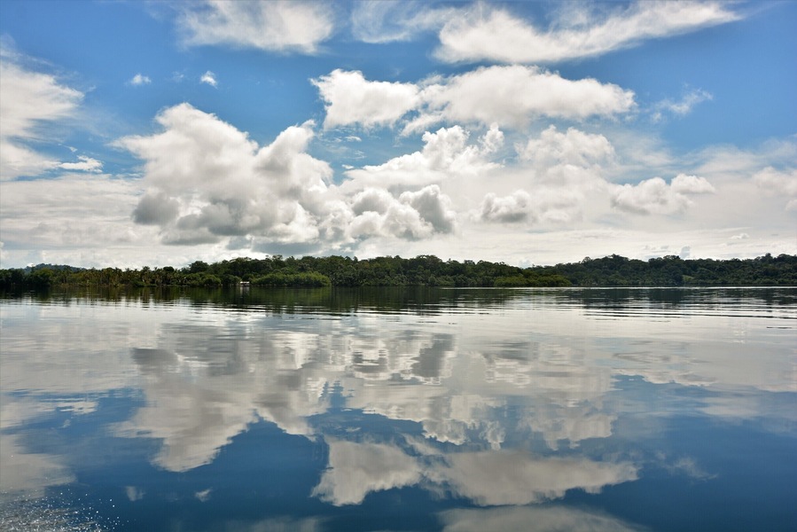 Tucked away on one of the more quiet islands of the Bocas del Toro province in Panama, there is an ecolodge called 'Cocovivo'. Through a long chain of friends of friends, I discovered this little paradise where peacefulness is key. Originally set up as a co-working space, the owners of Cocovivo made this place a home away from home. Set up with the help of an indigenous Ngobe-Guble family, everything is ecological: yes, that means a compost toilet. If that does not convince you yet, then maybe the possibility to kayak surrounded by dolphins will. Or you can practice yoga on your stand-up paddleboard. Or jump from the diving board right in the Caribbean sea and explore the reef. Or go on a jungle walk and count all the sloths you can see. Or eat delicious food made with very very local ingredients. Or see the stars in the sky reflected in the water bioluminescent plankton. Who needs Bocas' party scene when you have the 'disco' lights above and underneath you right? A place where I could relax fully and that I wholeheartedly recommend! #troveon #thisbatteredsuitcase #cocovivo #caribbeanvibes