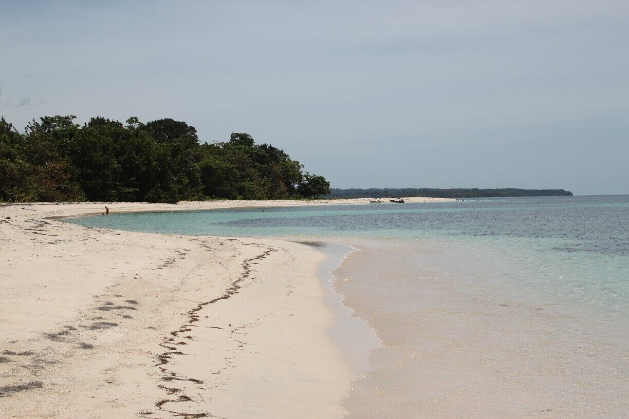 A sandy beach with footprints leading into the water, surrounded by dense green foliage.