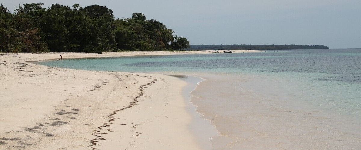 A sandy beach with footprints leading into the water, surrounded by dense green foliage.