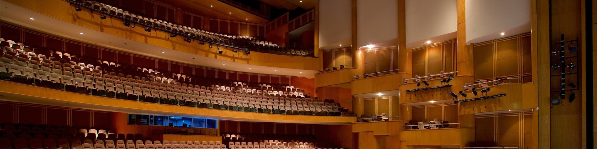 A large, multi-tiered auditorium with rows of seats and a stage.