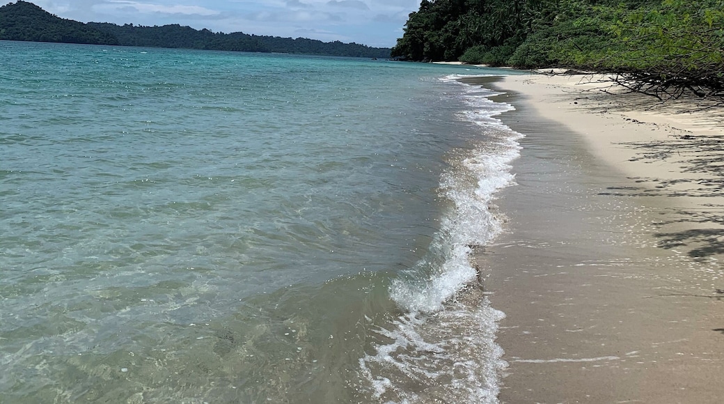 Rancheria Island, one of the 36 Island of Coiba National Park. One of the most beautiful place to do snorkel and dive.