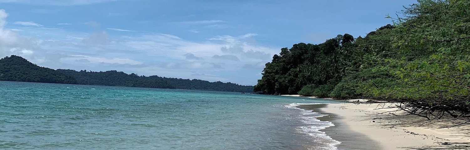 Una playa con agua turquesa cristalina, orilla arenosa y densa vegetación verde a la derecha.