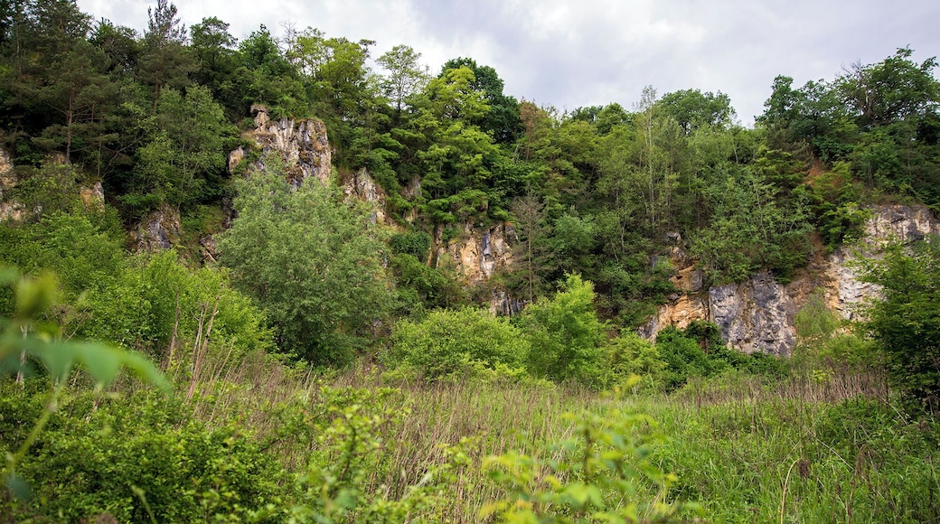 Gelände am Unica-Bruch, Villmarer Marmor, „Lahnmarmor“, Villmar, Hessen; Naturpark Hochtaunus. Riffkalk aus dem Devon des östlichen Rheinischen Schiefergebirges.