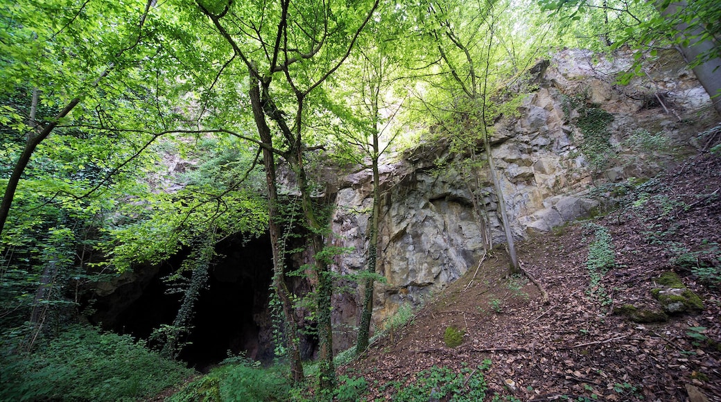Umliegendes Gelände am Unica-Bruch, Villmarer Marmor, „Lahnmarmor“, Villmar, Hessen; Naturpark Hochtaunus. Riffkalk aus dem Devon des östlichen Rheinischen Schiefergebirges.