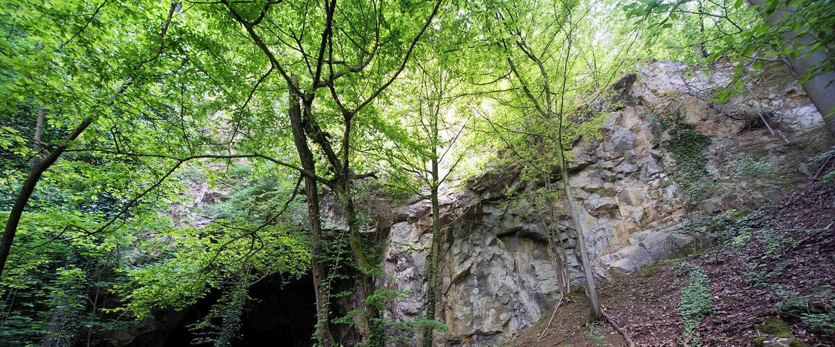 Umliegendes GelĂ€nde am Unica-Bruch, Villmarer Marmor, âLahnmarmorâ, Villmar, Hessen; Naturpark Hochtaunus. Riffkalk aus dem Devon des östlichen Rheinischen Schiefergebirges.