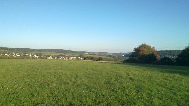 A grassy field with a small tree and a distant town.