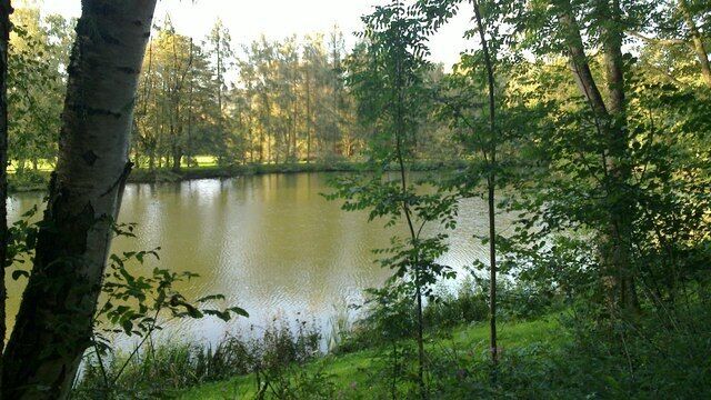 Blick auf einen Fischweiher im Dilltal bei Werdorf
