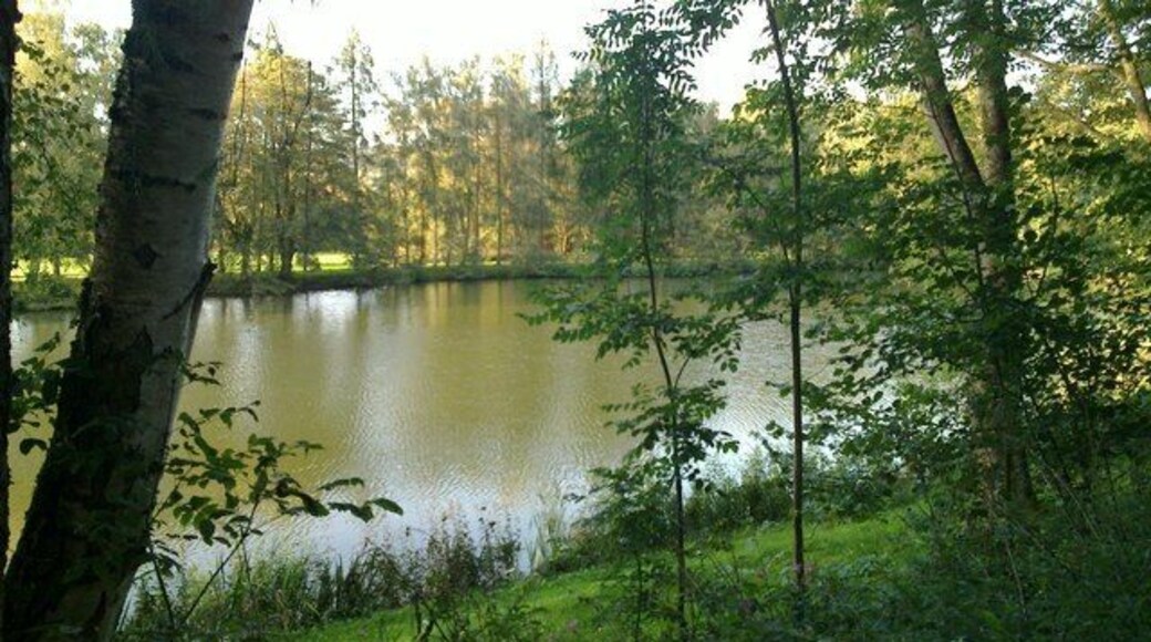 Blick auf einen Fischweiher im Dilltal bei Werdorf