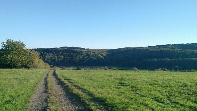 Feldweg bei Ehringshausen