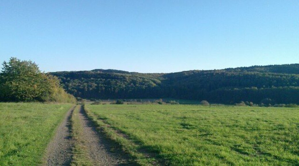 Feldweg bei Ehringshausen