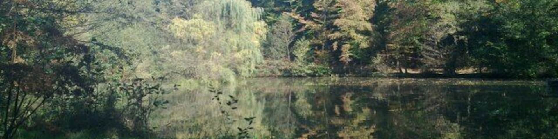 Fischweiher im Asslarer Outback