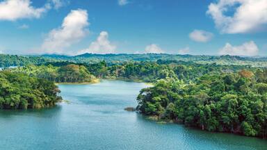 Beautiful tropical scenery on the shores of Gatun Lake, a freshwater artificial lake to the south of Colón, Panama. It forms a major part of the Panama Canal