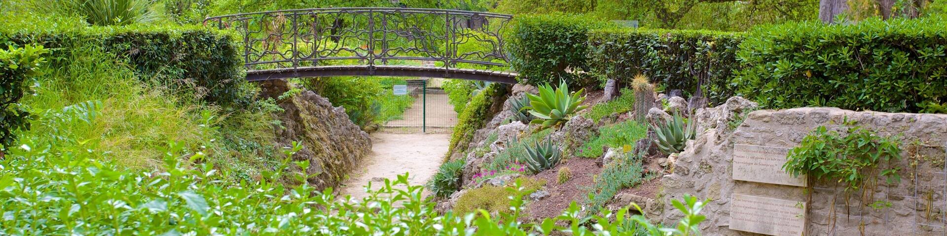Jardin des Plantes de Montpellier mit einem Park und Brücke