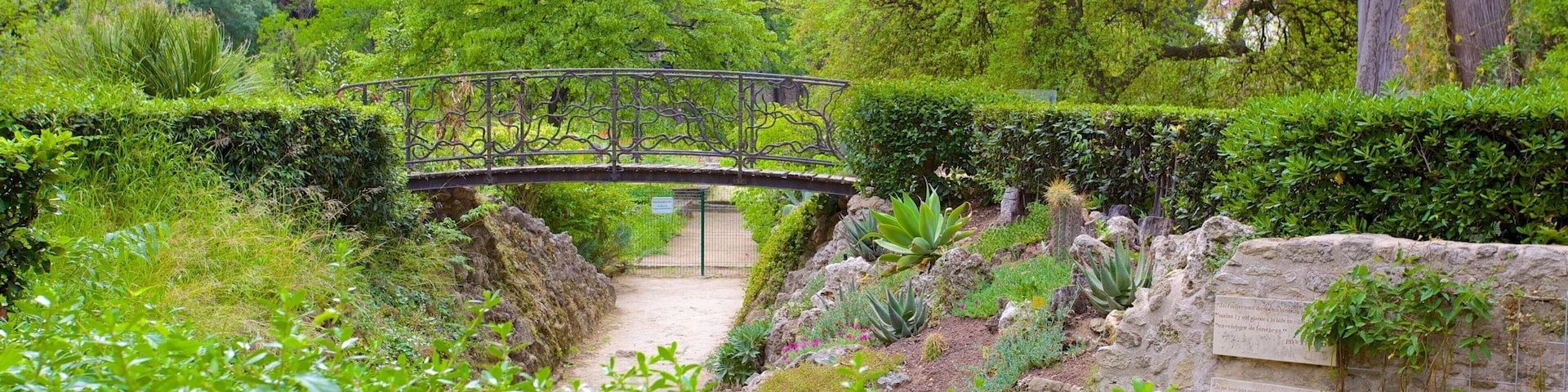 Jardin des plantes de Montpellier featuring a bridge and a park