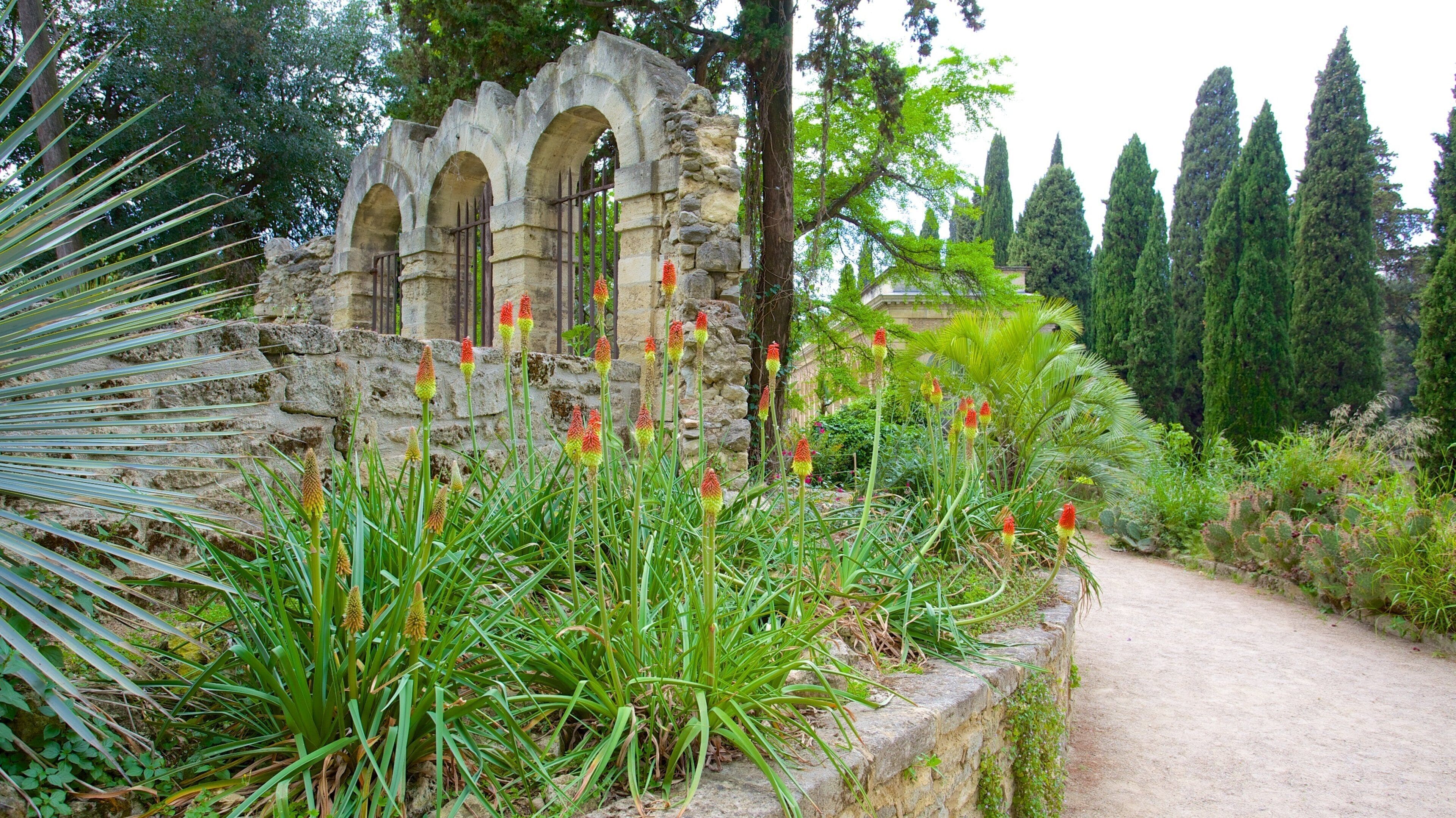 Jardin des plantes de Montpellier
