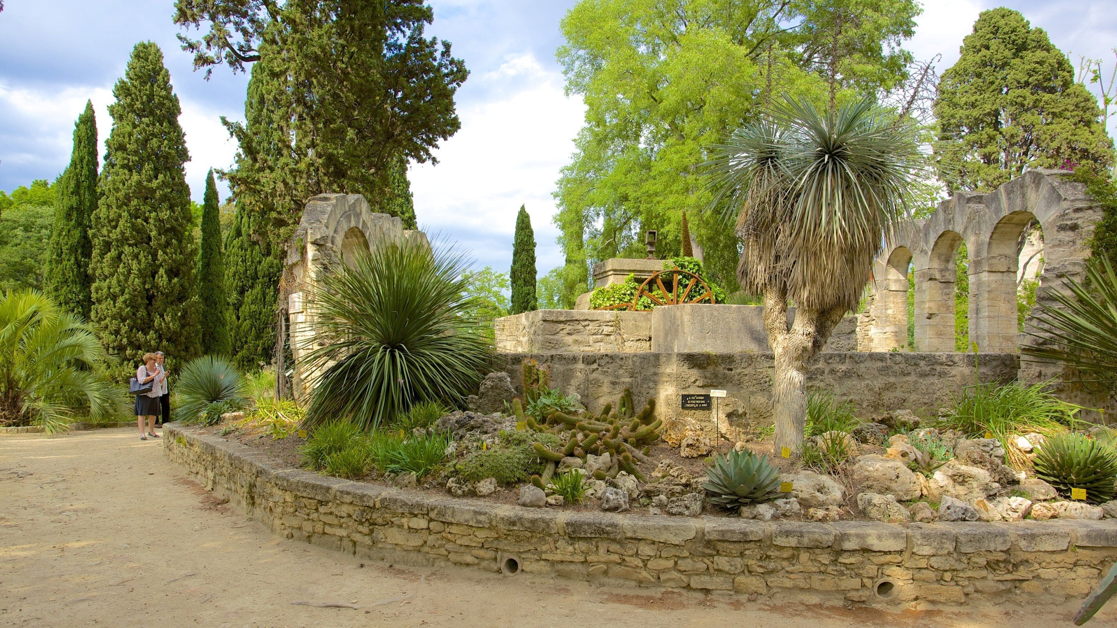 Jardin des plantes de Montpellier