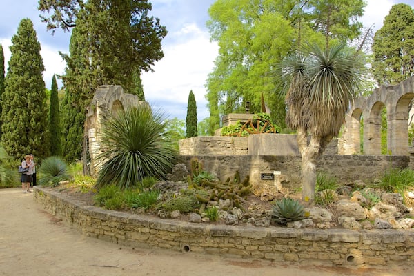 Jardin des plantes de Montpellier montrant jardin et ruine