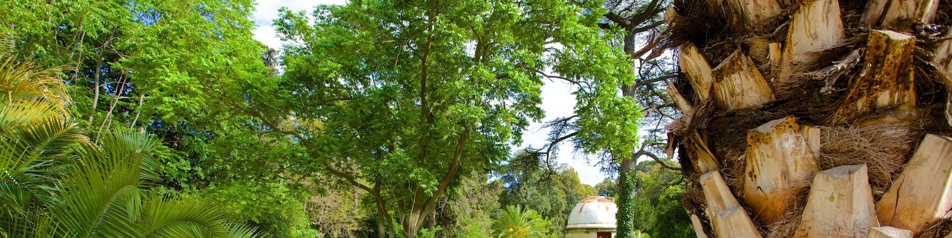 Jardin des plantes de Montpellier featuring tropical scenes and a park