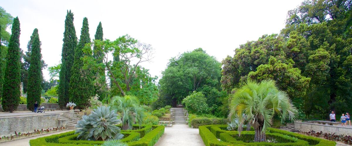 Jardin des plantes de Montpellier fasiliteter samt park