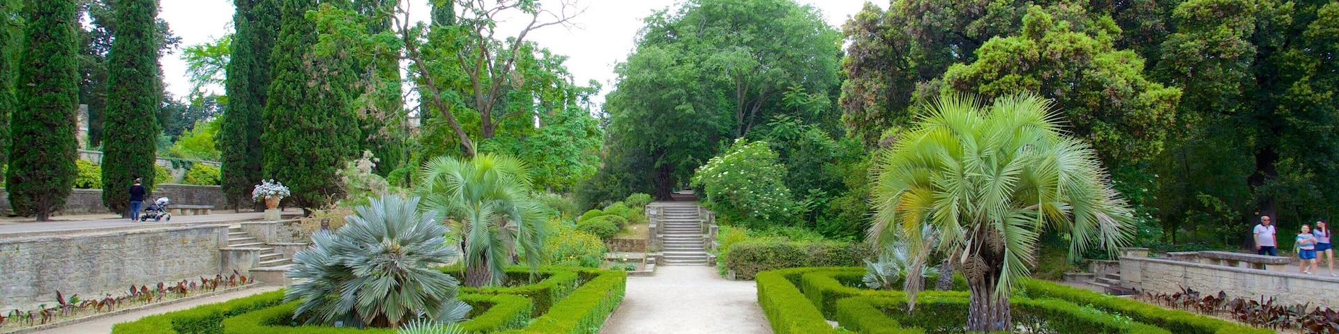 Jardin des Plantes de Montpellier que inclui um parque
