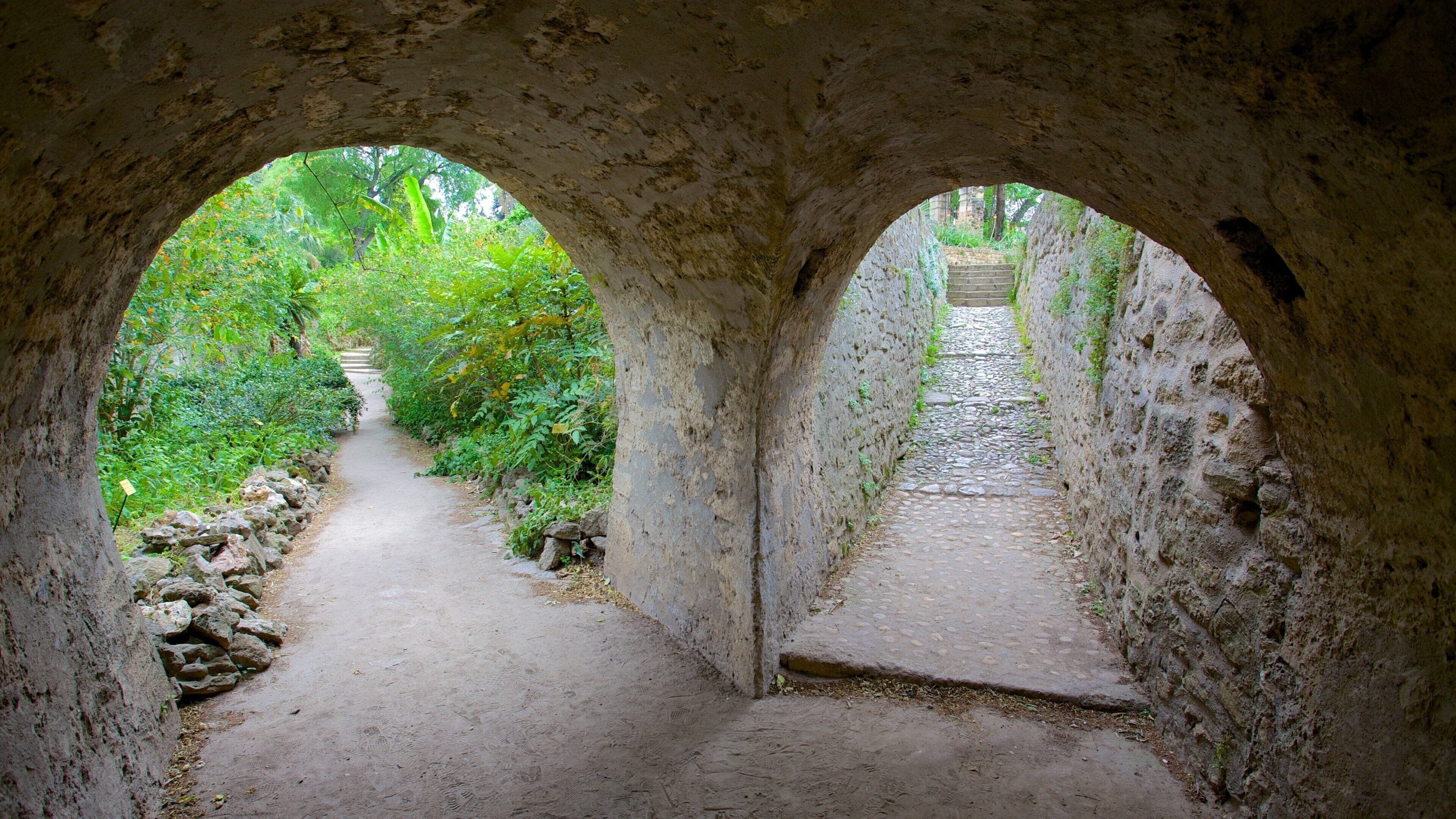 Jardin des plantes de Montpellier showing heritage elements
