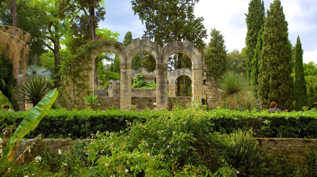 Jardin des plantes de Montpellier which includes a park and building ruins
