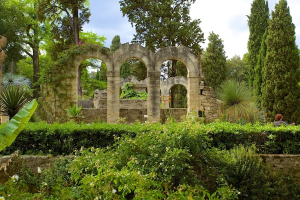 Jardin des plantes de Montpellier which includes a park and building ruins