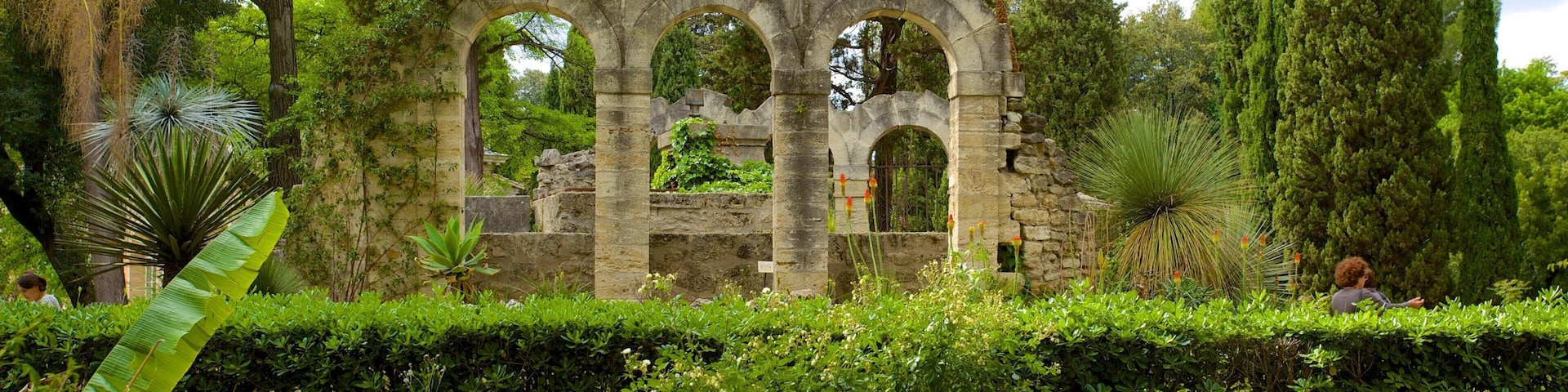 Jardin des plantes de Montpellier which includes a park and building ruins