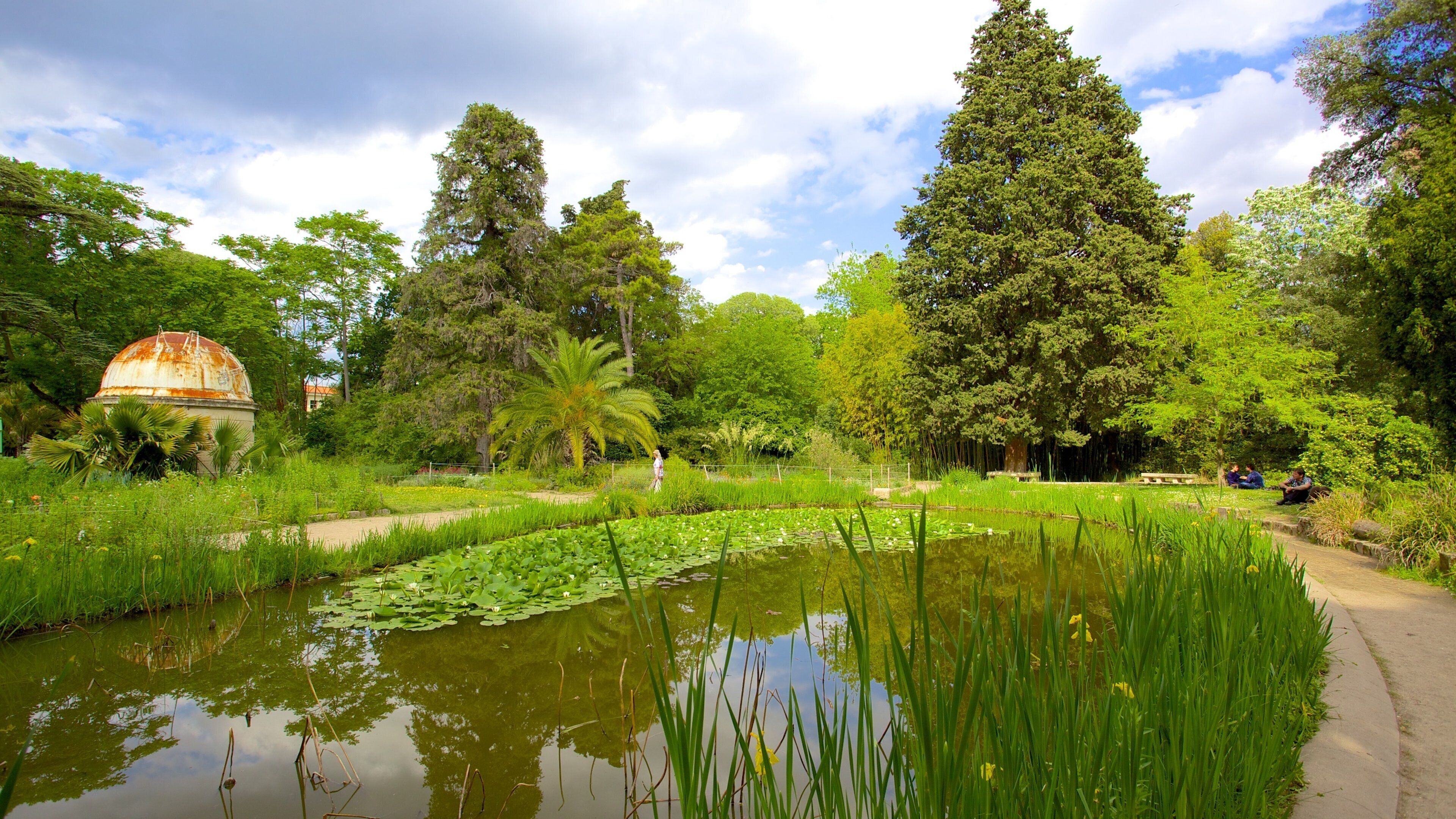 Jardin des plantes de Montpellier which includes a park and a pond