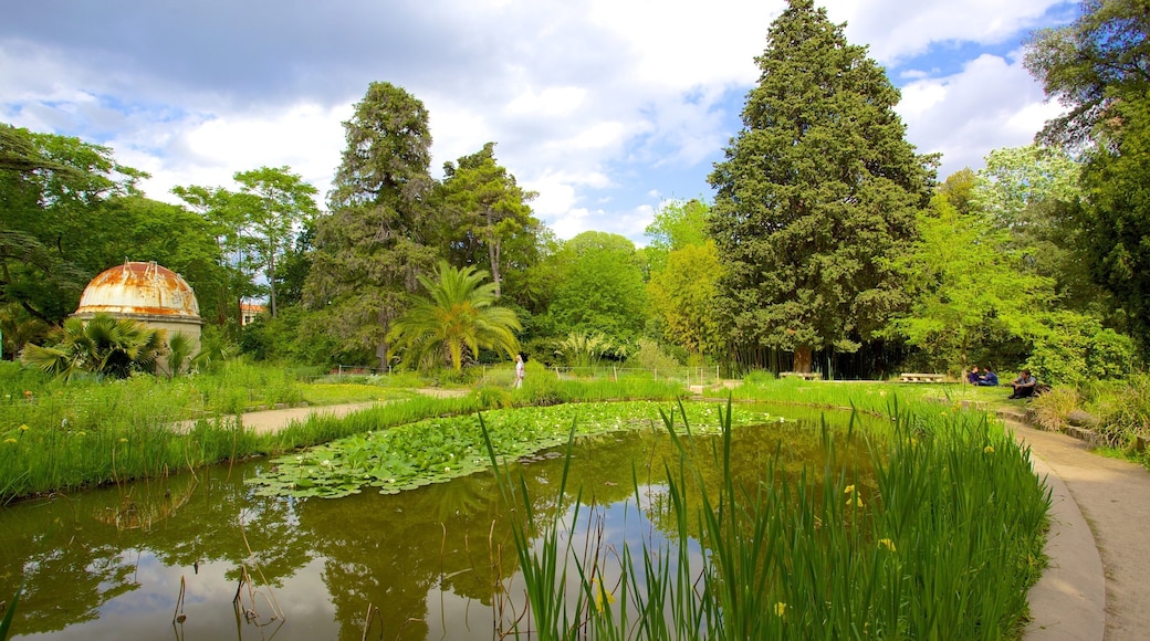 Jardin des plantes de Montpellier which includes a park and a pond
