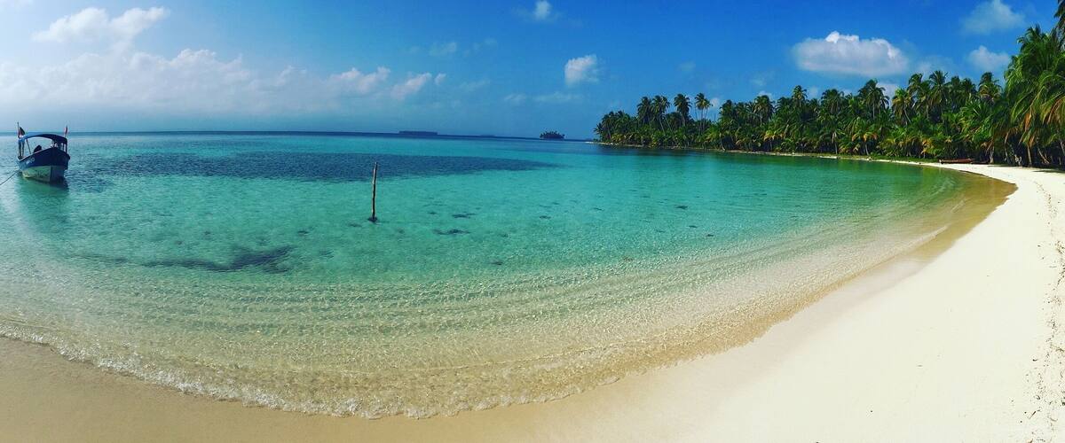 A beach with clear turquoise water, white sand, and palm trees.