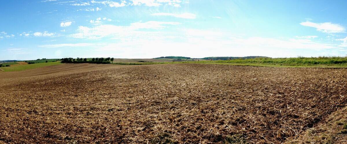 A rural landscape with fields, a dirt path, and a car parked on the side.