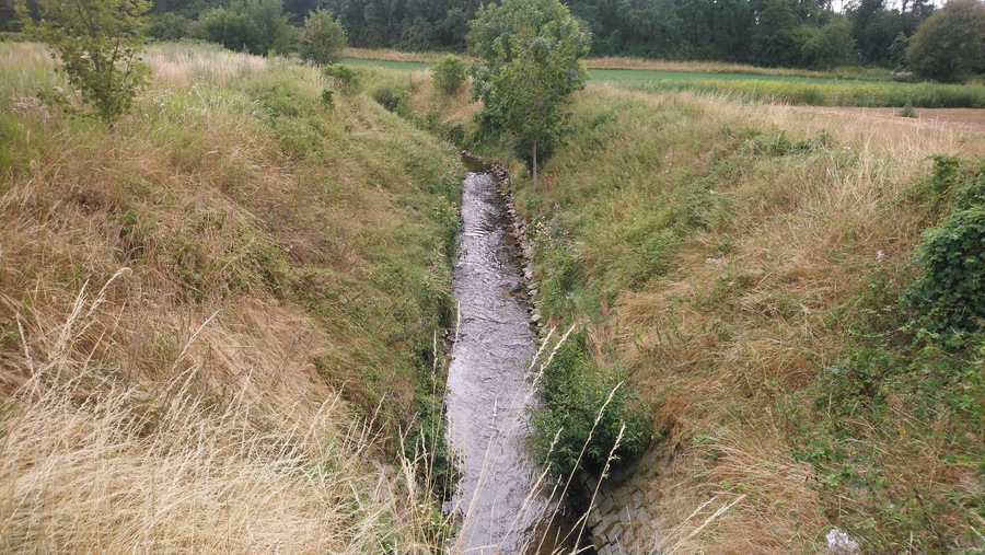 Un arroyo serpenteando a través de un campo cubierto de hierba, con árboles a ambos lados.