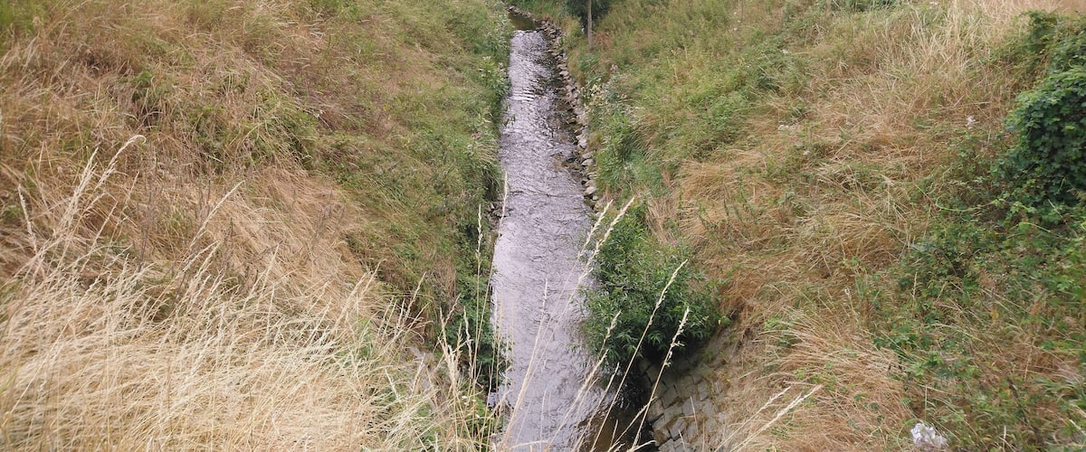 A narrow stream cutting through a grassy field with trees on either side.