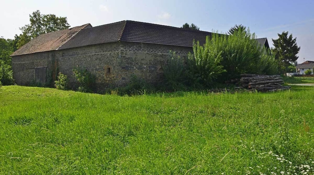 Kaplaneigasse-65 Pfungstadt