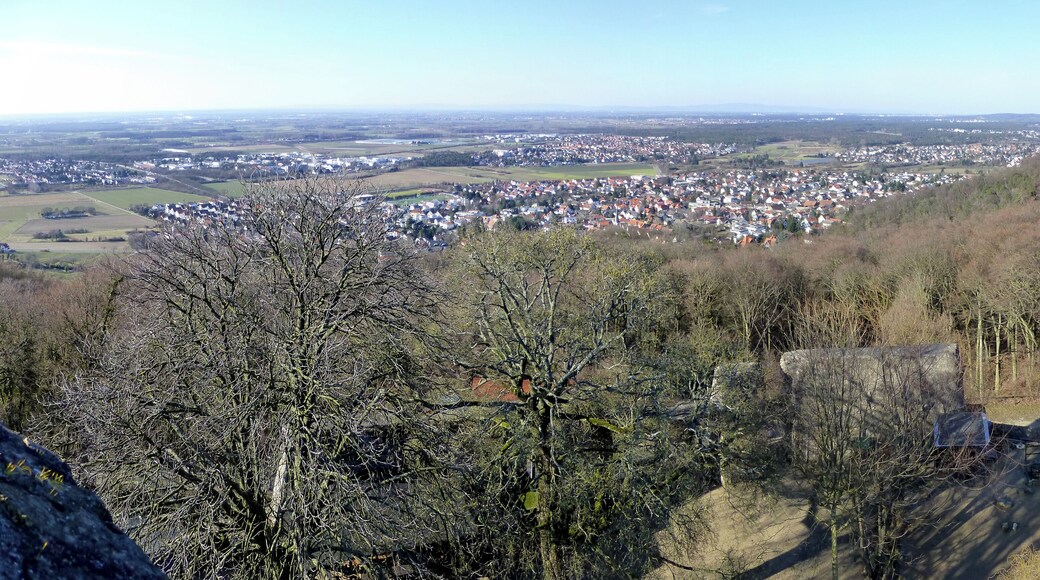 120°-Panoramablick vom Bergfried des Alsbacher Schlosses nach Nordnordwesten; Bildmitte Alsbach, dahinter Bickenbach; mittig links Hähnlein; mittig rechts Seeheim-Jugenheim, dahinter rechts der Langenberg; in der Ferne der Taunus