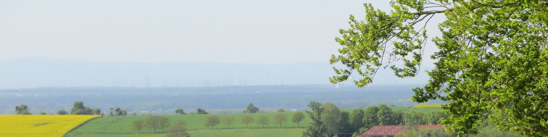 Aussichtspunkt bei Raibach, im Vordergrund sieht man Raibach und im Hintergrund kann man die Skyline von Frankfurt am Main im Dunst ausmachen.