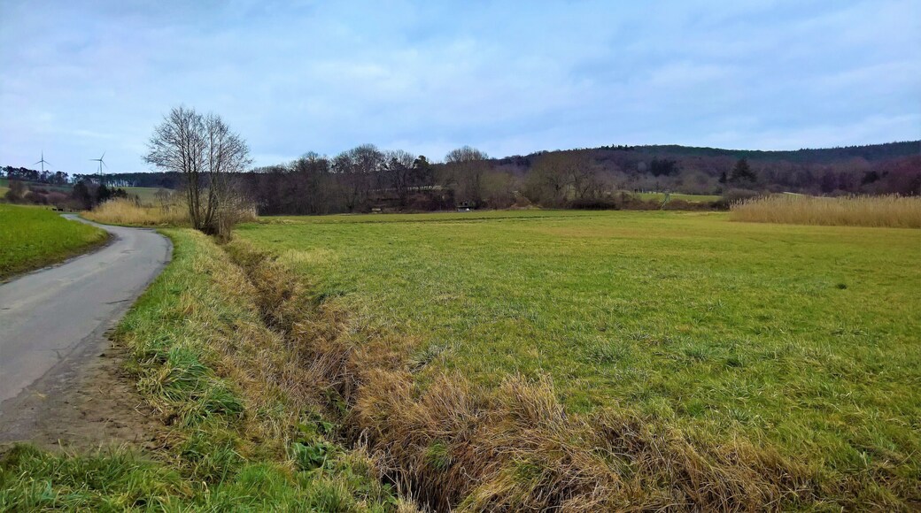 Das Tal der Wächtersbach mit Blick zur Stelle der heutigen Wüstung und des ehemaligen Dorfes Wächtersbach mit eigener Gemarkung; 1504 in der Bayerischen Fehde untergegangen.