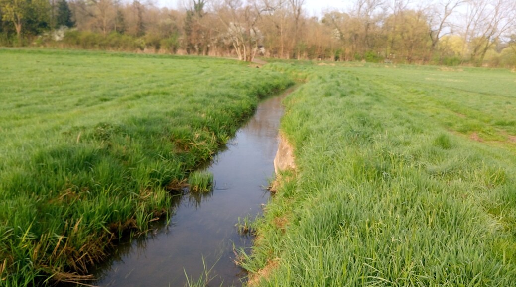 Der Salisbach nach der Teilung vom Krebsbach