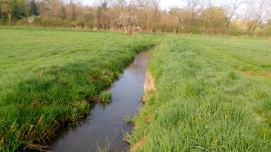 Der Salisbach nach der Teilung vom Krebsbach