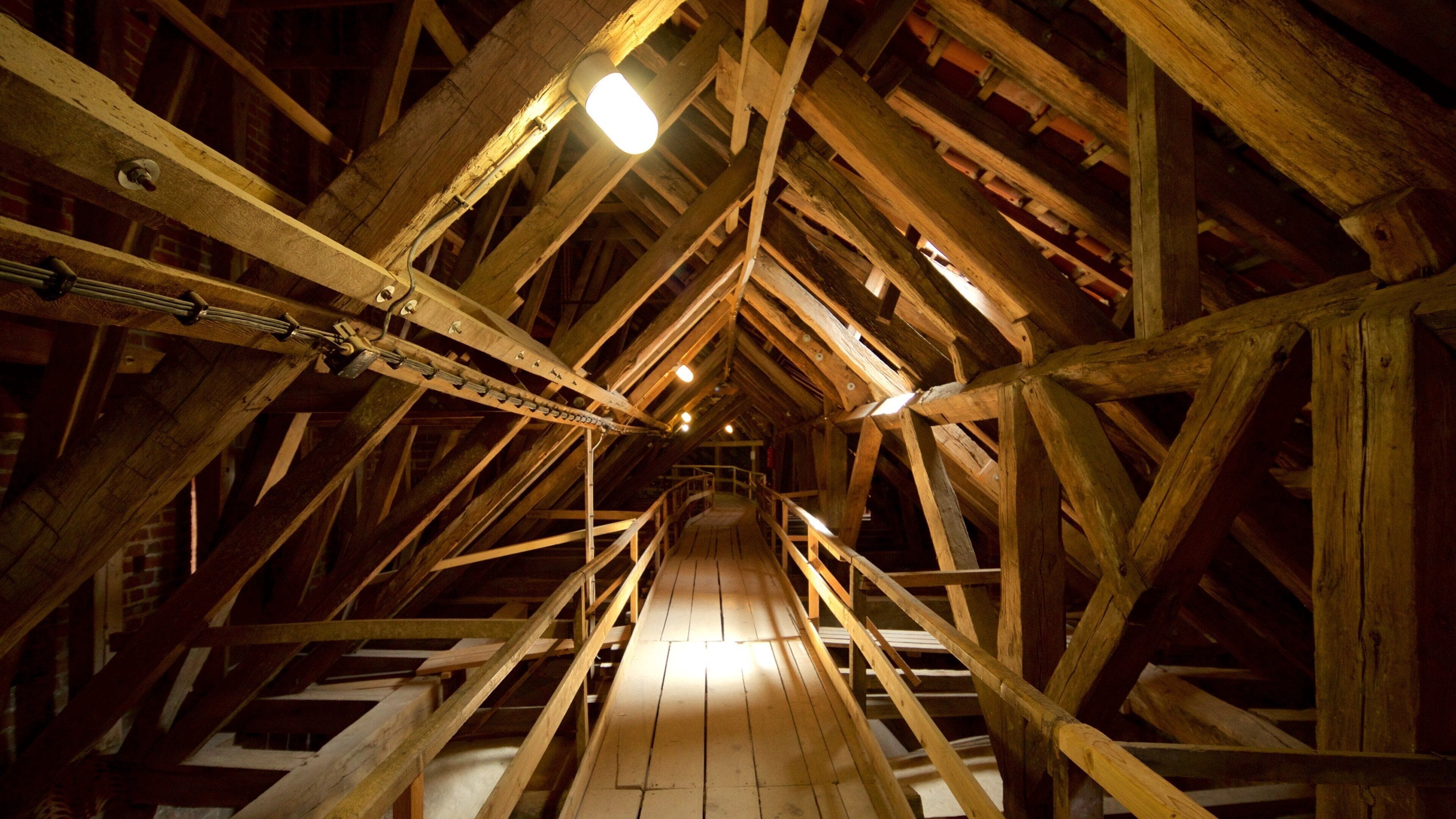 St. Nicolai Church which includes interior views