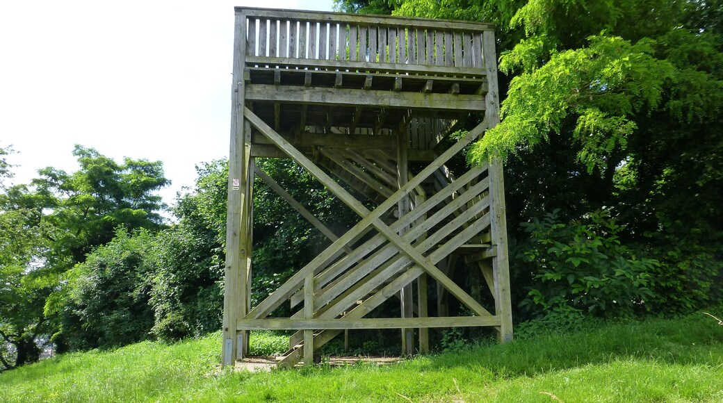Aussichtsturm auf dem Weinberg oberhalb von Düdelsheim