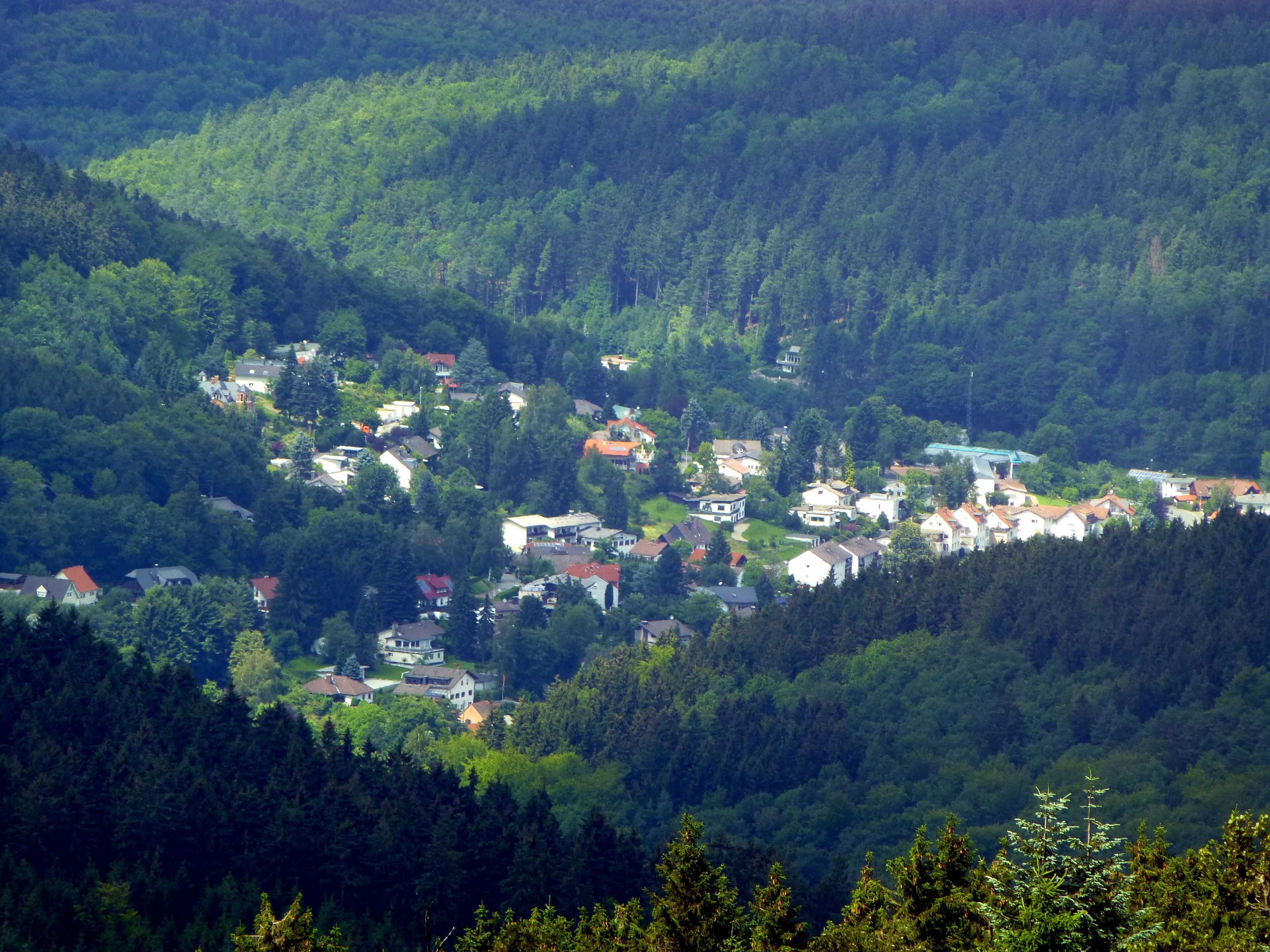 A village nestled in a valley surrounded by dense forest.